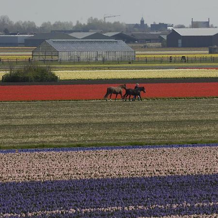 De Zonnehoed Bed and Breakfast Lisse Buitenkant foto