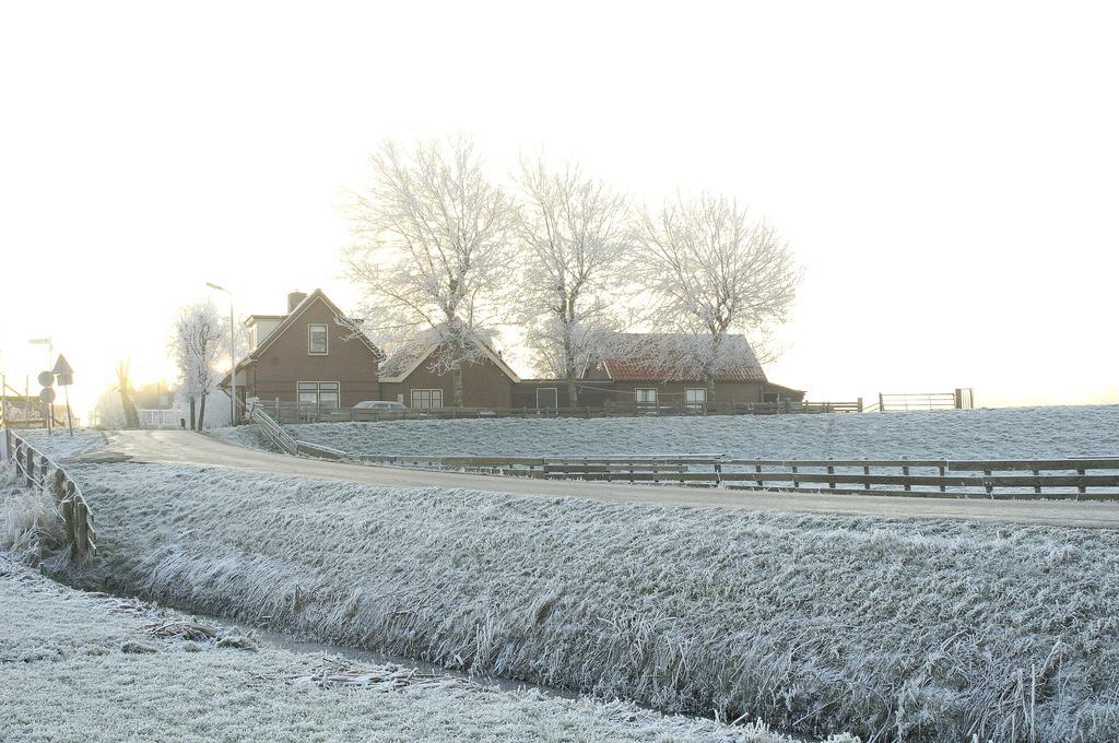 De Zonnehoed Bed and Breakfast Lisse Buitenkant foto