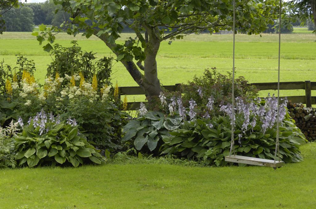 De Zonnehoed Bed and Breakfast Lisse Buitenkant foto