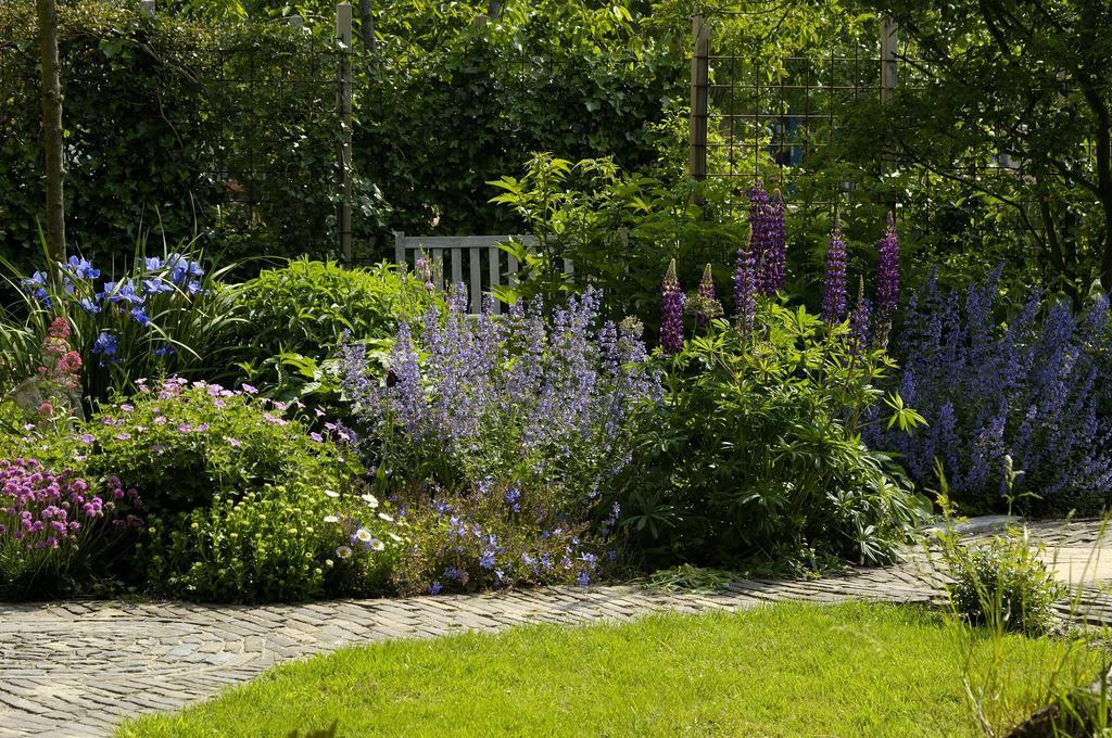 De Zonnehoed Bed and Breakfast Lisse Buitenkant foto