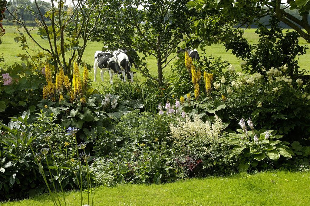 De Zonnehoed Bed and Breakfast Lisse Buitenkant foto