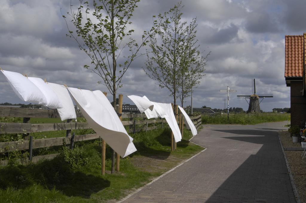 De Zonnehoed Bed and Breakfast Lisse Buitenkant foto